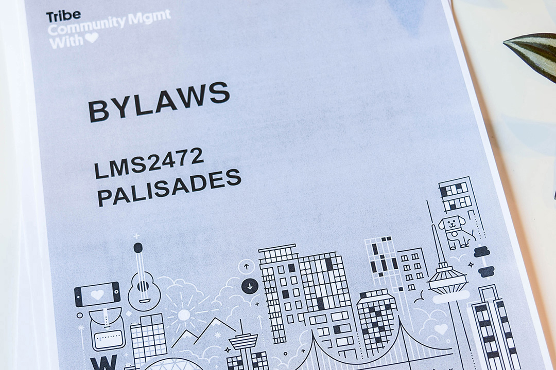 Photo of cover page of bylaws of the Palisades