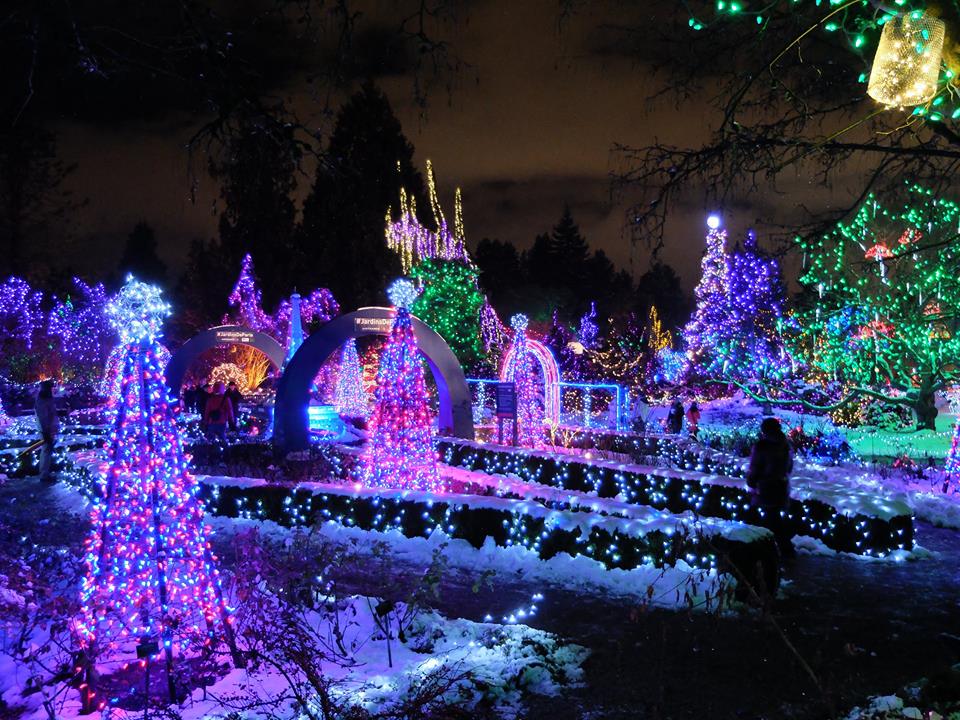 Christmas Lights at VanDusen Botanical Garden
