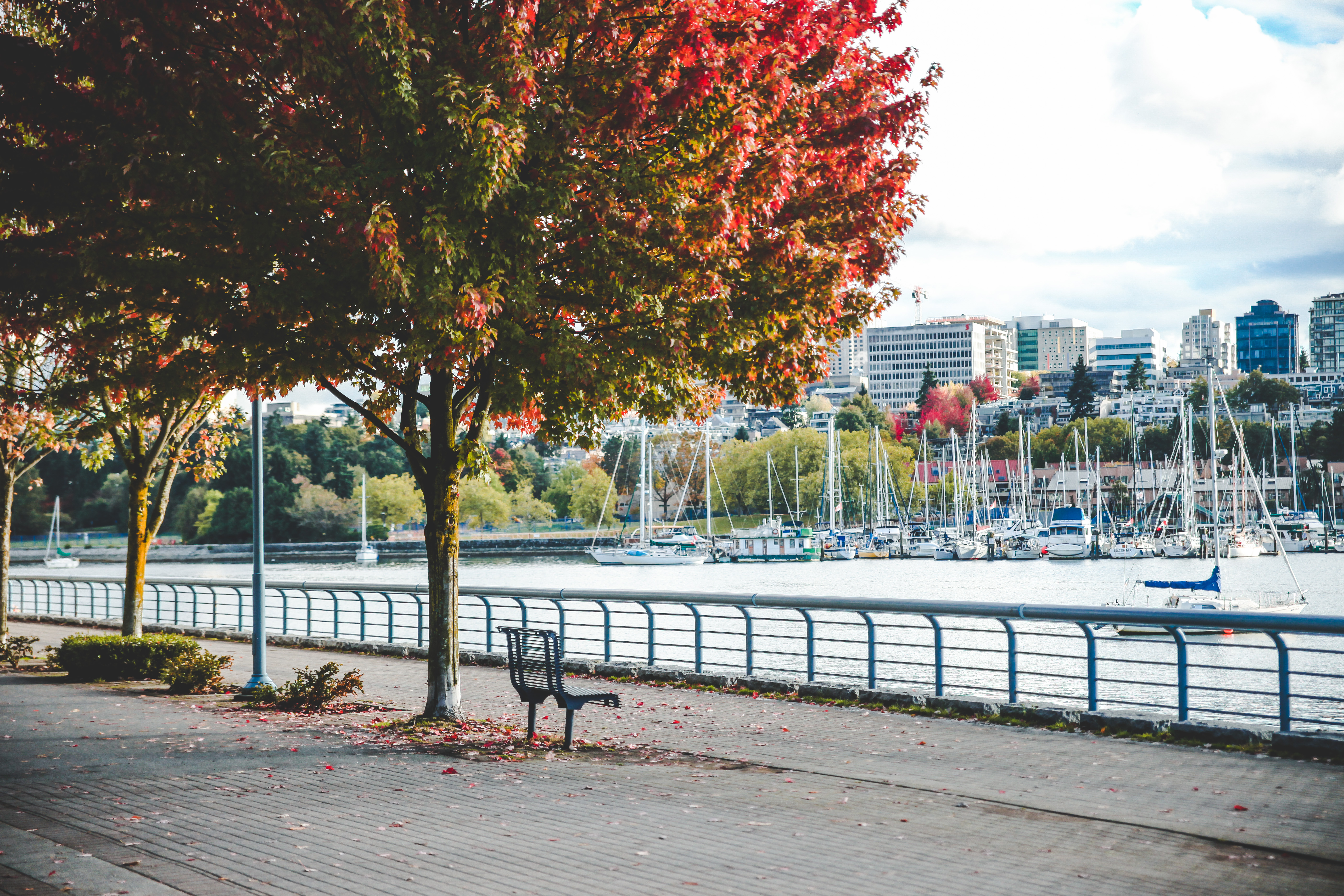 Vancouver Seawall with water view and trees