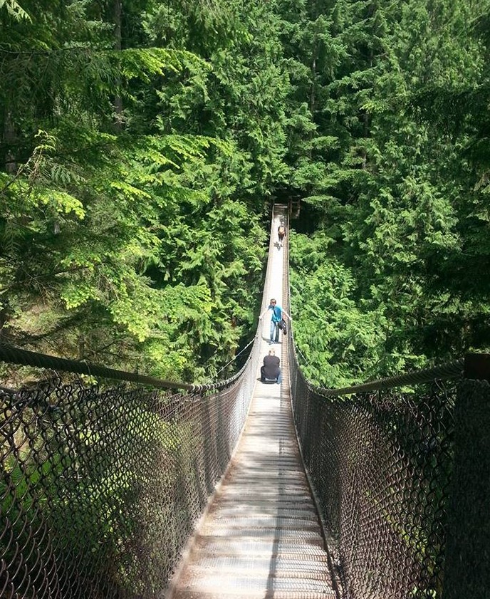 Image of the suspension bridge at Lynn Canyon in North Vancouver